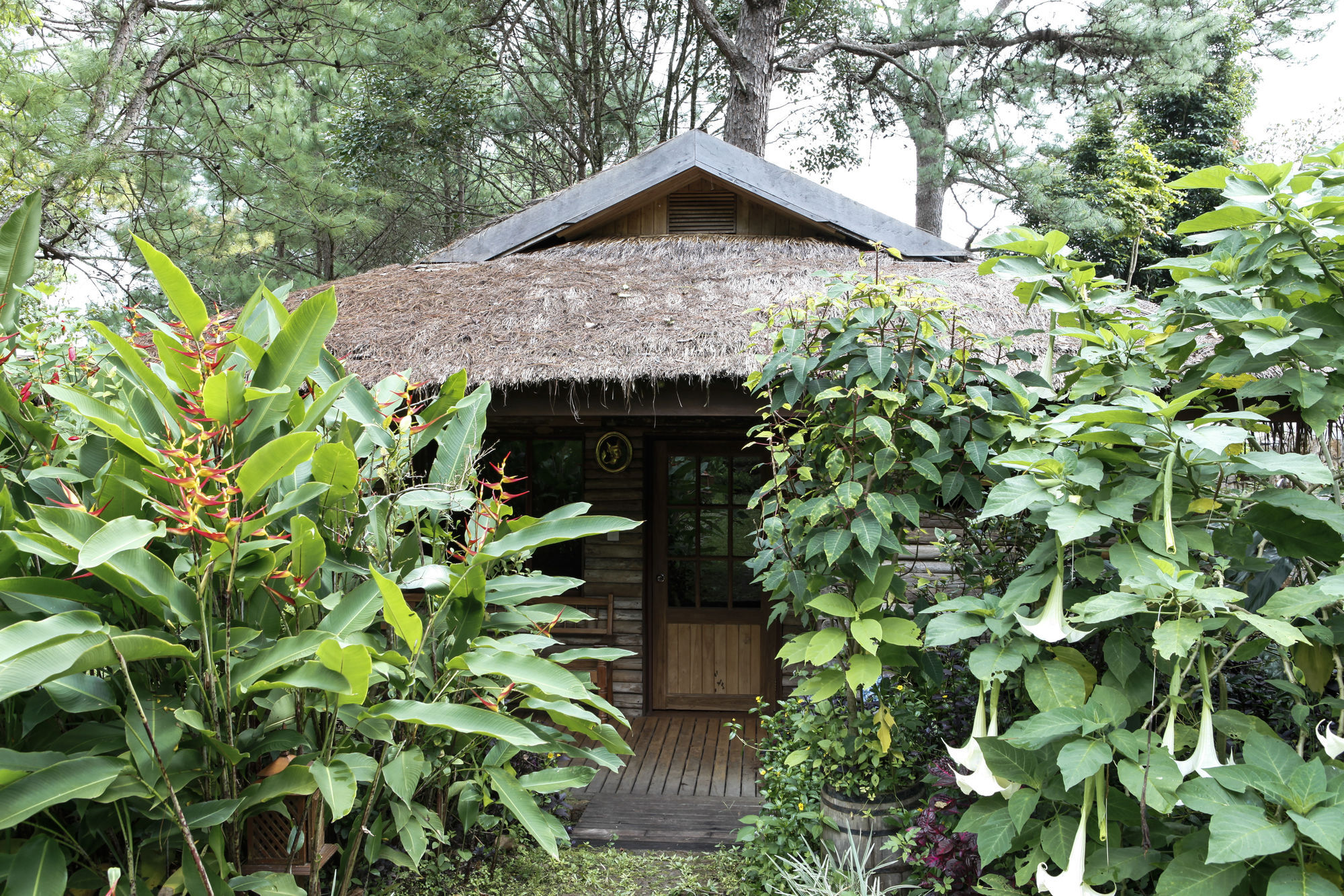 Amara Mountain Resort Kalaw Exterior foto